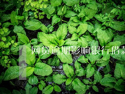 网贷逾期影响银行借款 网贷逾期影响银行借款
