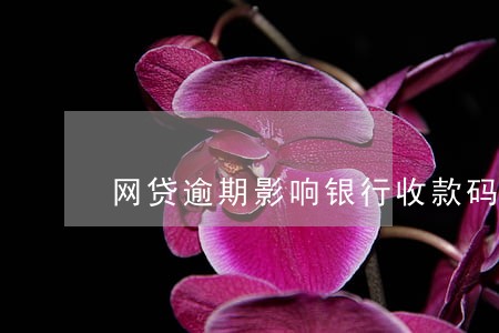 网贷逾期影响银行收款码 网贷逾期影响银行收款码
