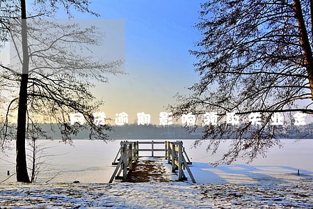 网贷逾期影响领取失业金吗