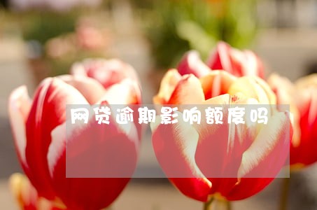 网贷逾期影响额度吗 网贷逾期影响额度吗