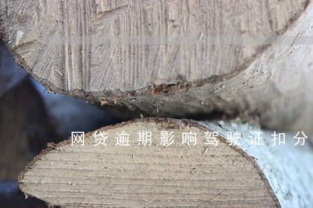 网贷逾期影响驾驶证扣分吗 网贷逾期影响驾驶证扣分吗