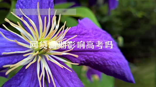 网贷逾期影响高考吗 网贷逾期影响高考吗