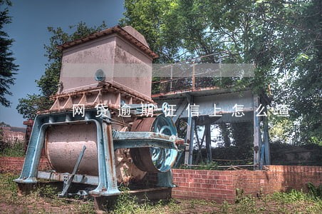 网贷逾期征信上怎么查 网贷逾期征信上怎么查