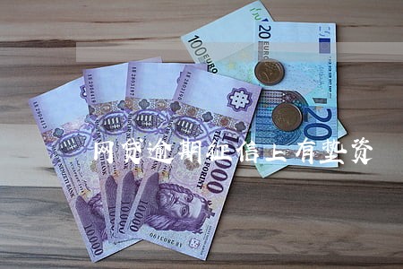 网贷逾期征信上有垫资 网贷逾期征信上有垫资