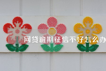 网贷逾期征信不好怎么办