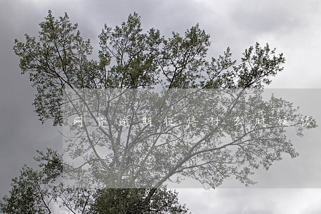 网贷逾期征信什么时候恢复 网贷逾期征信什么时候恢复