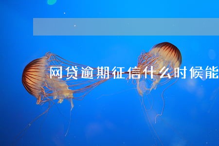 网贷逾期征信什么时候能恢复 网贷逾期征信什么时候能恢复