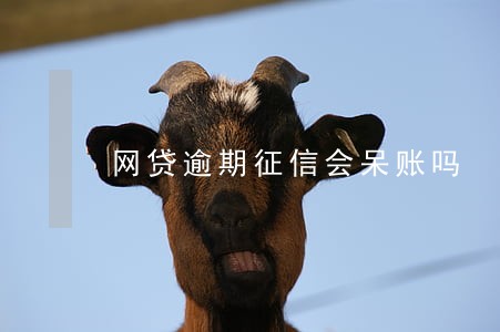 网贷逾期征信会呆账吗 网贷逾期征信会呆账吗