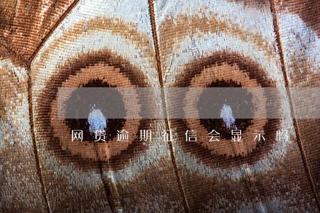 网贷逾期征信会显示吗 网贷逾期征信会显示吗