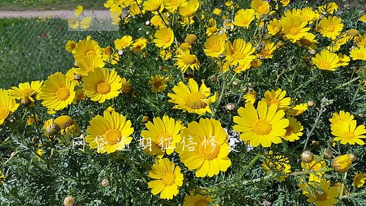 网贷逾期征信修复 网贷逾期征信修复