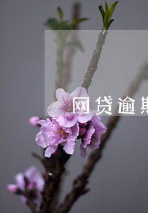 网贷逾期征信全黑 网贷逾期征信全黑