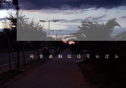 网贷逾期征信可以过么