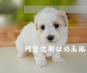 网贷逾期征信呆账怎么消除 网贷逾期征信呆账怎么消除