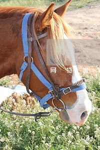 网贷逾期征信多久消除人死了 网贷逾期征信多久消除人死了