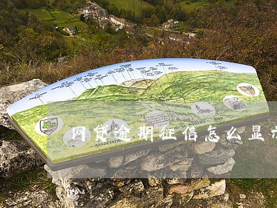 网贷逾期征信怎么显示的 网贷逾期征信怎么显示的