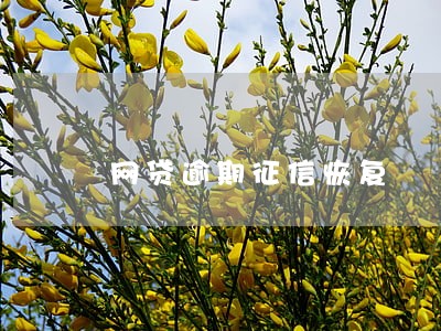 网贷逾期征信恢复 网贷逾期征信恢复