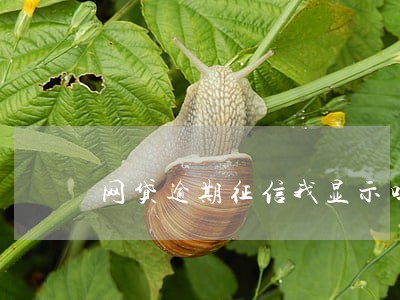 网贷逾期征信我显示吗
