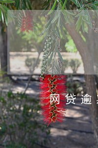 网贷逾期征信报告没有 网贷逾期征信报告没有