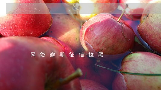 网贷逾期征信拉黑 网贷逾期征信拉黑
