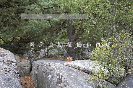 网贷逾期征信有可疑 网贷逾期征信有可疑