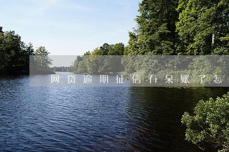 网贷逾期征信有呆账了怎么办