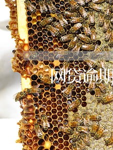 网贷逾期征信查 网贷逾期征信查