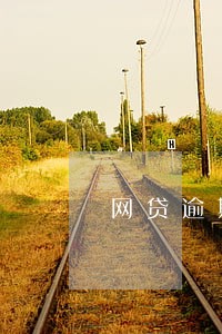 网贷逾期征信没问题 网贷逾期征信没问题