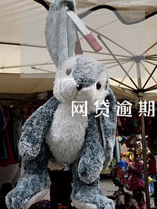 网贷逾期征信的模板 网贷逾期征信的模板