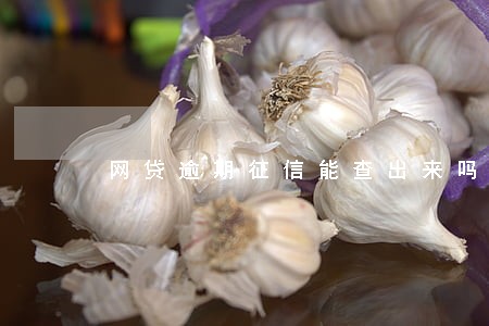 网贷逾期征信能查出来吗 网贷逾期征信能查出来吗