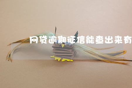 网贷逾期征信能查出来有哪些吗 网贷逾期征信能查出来有哪些吗