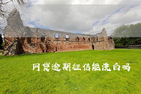 网贷逾期征信能洗白吗 网贷逾期征信能洗白吗