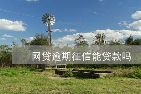 网贷逾期征信能贷款吗 网贷逾期征信能贷款吗