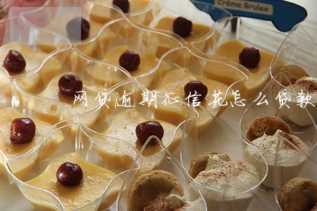 网贷逾期征信花怎么贷款
