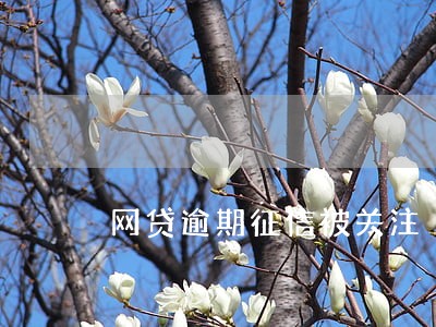 网贷逾期征信被关注 网贷逾期征信被关注