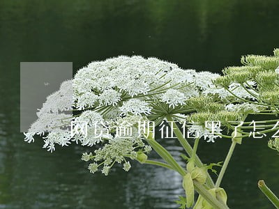网贷逾期征信黑了怎么恢复正常 网贷逾期征信黑了怎么恢复正常