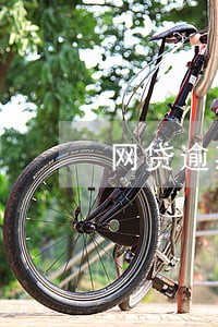 网贷逾期征信黑了能出国吗 网贷逾期征信黑了能出国吗