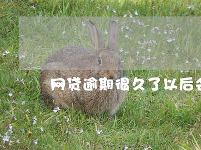 网贷逾期很久了以后会不会有影响 网贷逾期很久了以后会不会有影响