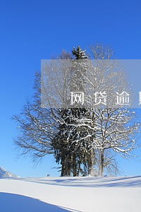 网贷逾期很久了现在没钱还 网贷逾期很久了现在没钱还