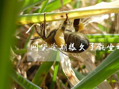 网贷逾期很久了能坐动车飞机吗 网贷逾期很久了能坐动车飞机吗