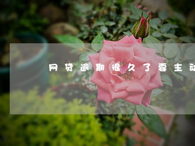 网贷逾期很久了要主动还款吗 网贷逾期很久了要主动还款吗
