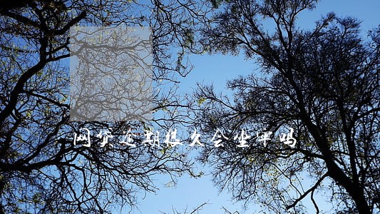 网贷逾期很久会坐牢吗 网贷逾期很久会坐牢吗