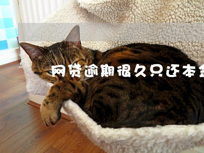 网贷逾期很久只还本金 网贷逾期很久只还本金