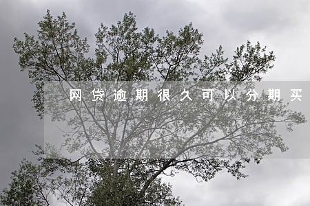 网贷逾期很久可以分期买车吗 网贷逾期很久可以分期买车吗