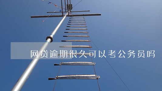 网贷逾期很久可以考公务员吗 网贷逾期很久可以考公务员吗
