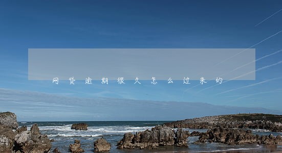 网贷逾期很久怎么过来的