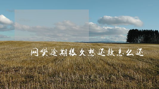 网贷逾期很久想还款怎么还 网贷逾期很久想还款怎么还