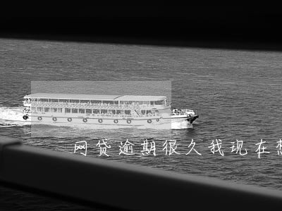 网贷逾期很久我现在想换款 网贷逾期很久我现在想换款