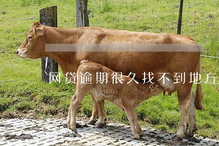 网贷逾期很久找不到地方还款了 网贷逾期很久找不到地方还款了