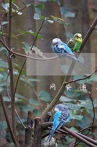 网贷逾期很久收到上门短信 网贷逾期很久收到上门短信