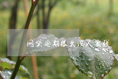 网贷逾期很久没人要钱 网贷逾期很久没人要钱